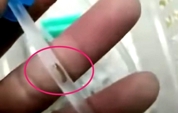 细思极恐！ 乐山一幼儿输液时发现疑似有虫！医院回应来了