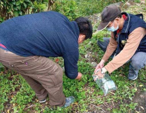 太吓人了!误事盘古蟾蜍中毒什么原因?究竟哪里出了问题
