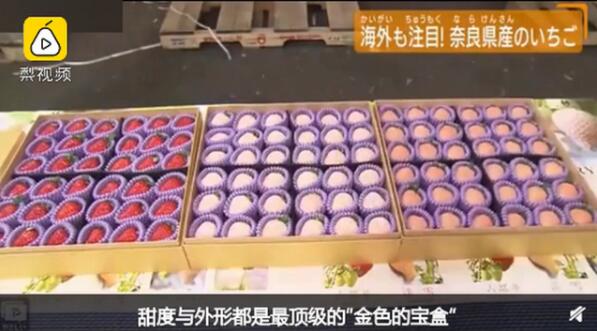 人傻钱多?日本天价草莓1颗900元是怎么回事?与普通草莓有啥不同?