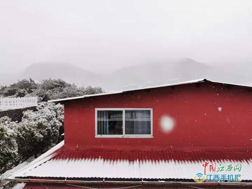 入目皆是美景!庐山下雪啦,这才是冬天该有的亚子