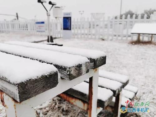 入目皆是美景!庐山下雪啦,这才是冬天该有的亚子