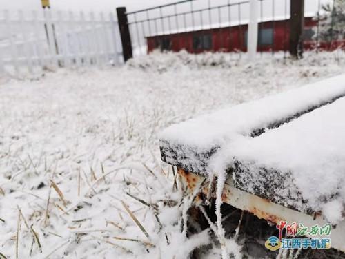 入目皆是美景!庐山下雪啦,这才是冬天该有的亚子