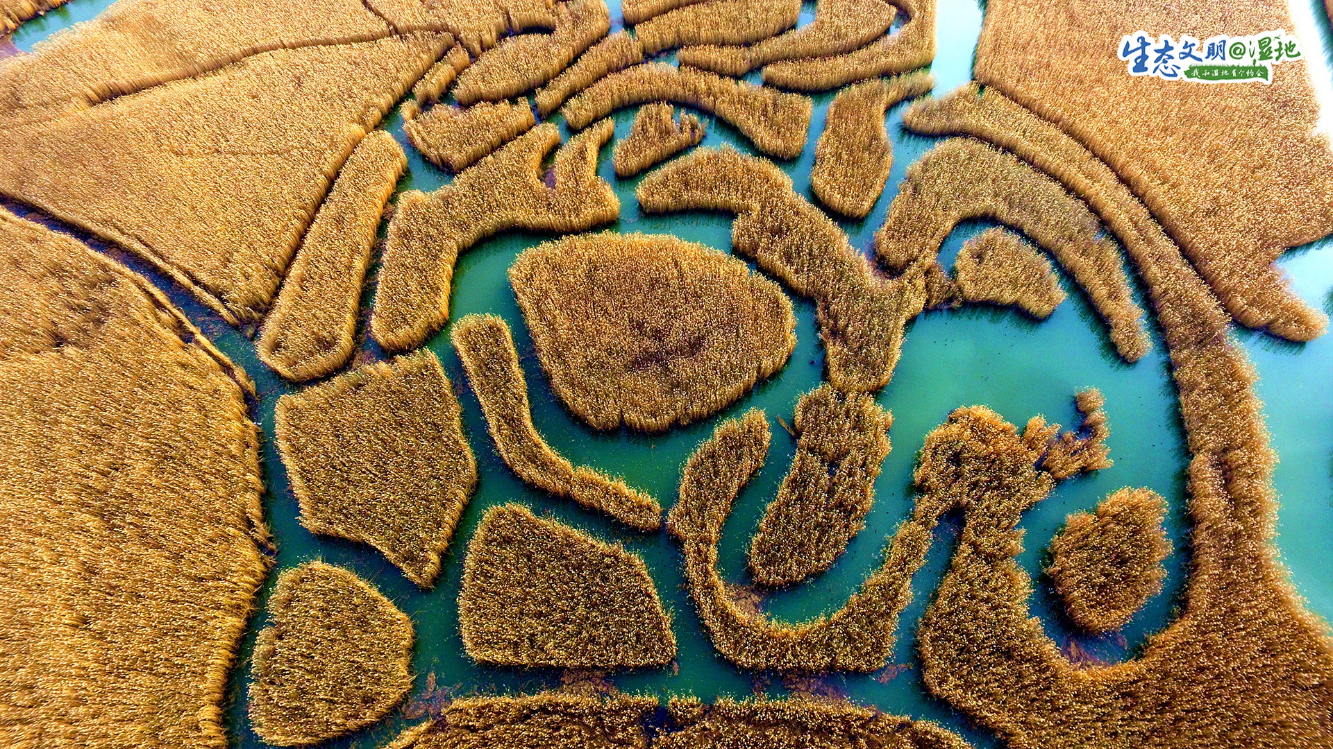 【生态文明@湿地】宁夏湿地 塞上江南