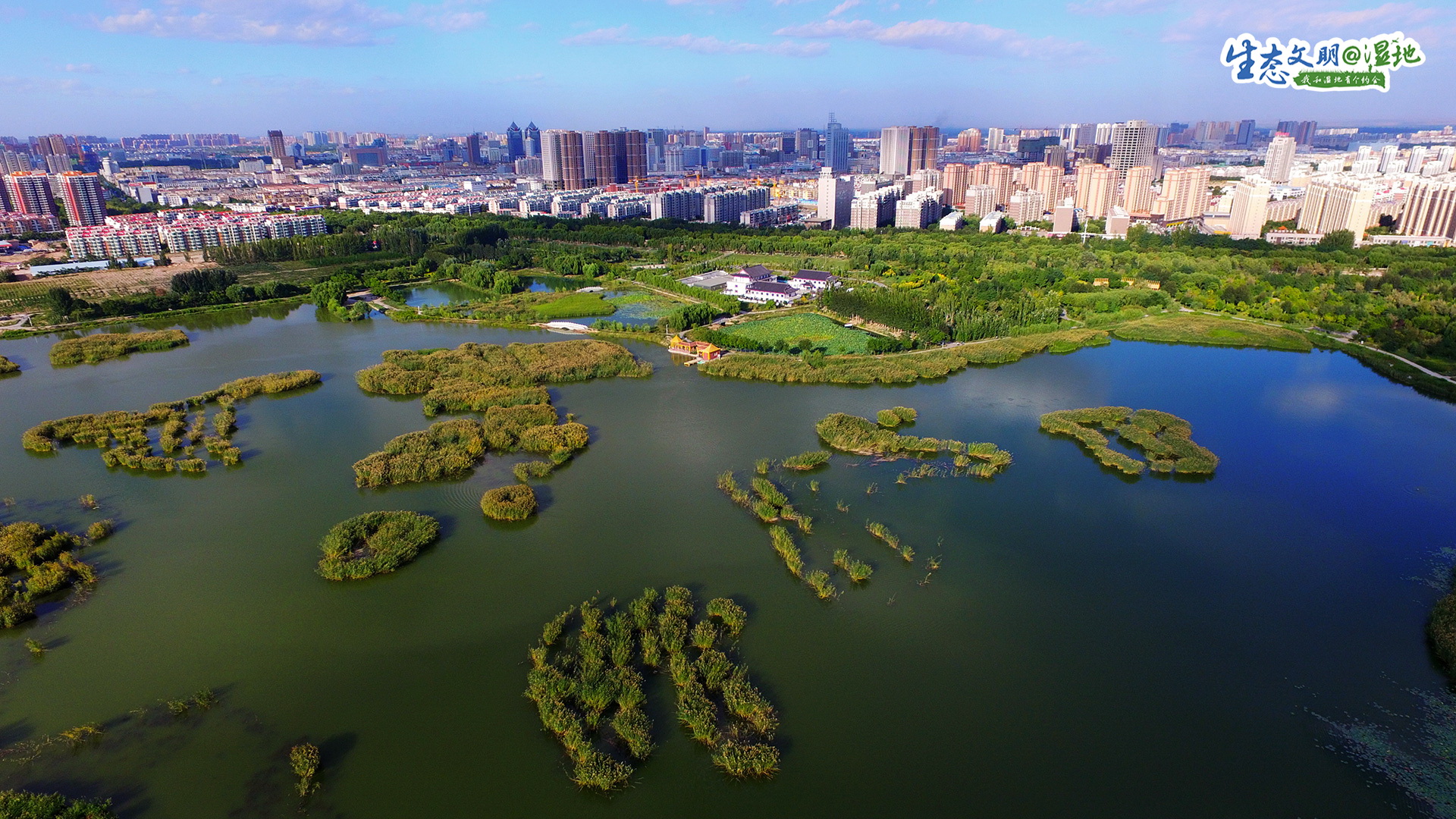 【生态文明@湿地】宁夏湿地 塞上江南