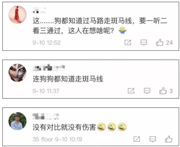 电视剧都不敢这么写！夫妻先后横穿同一条马路被撞飞