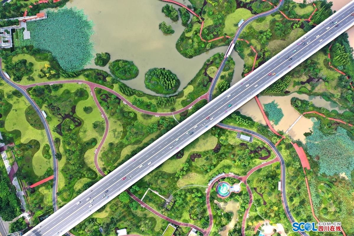 【生态文明@湿地】“海绵城市”遂宁:城市湿地串起26公里绿丝带