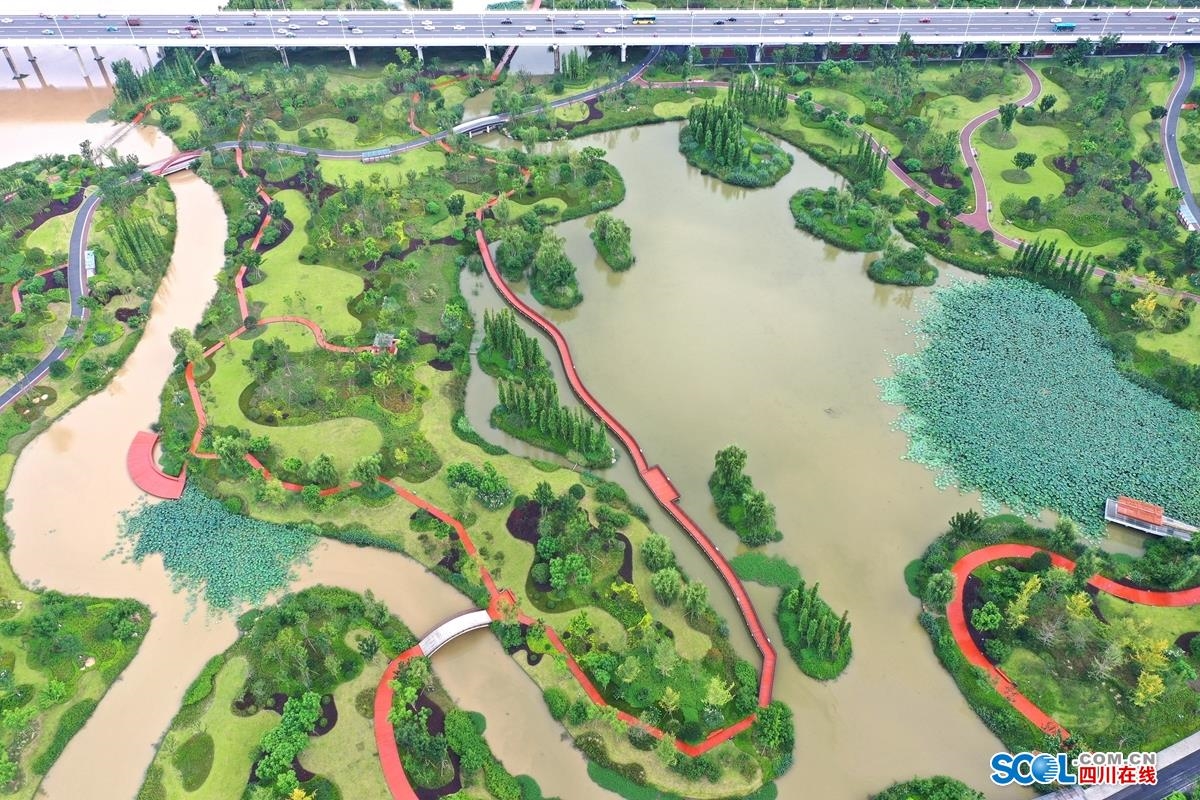 【生态文明@湿地】“海绵城市”遂宁:城市湿地串起26公里绿丝带