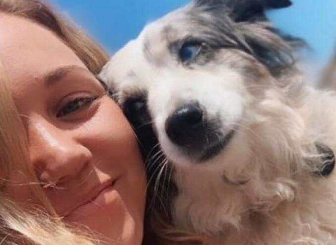 人狗情未了！为找爱犬悬赏5万 女子租用飞机刊登寻狗启示空中盘旋