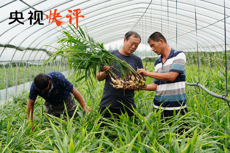 【央视快评】打赢脱贫攻坚战 决胜全面小康