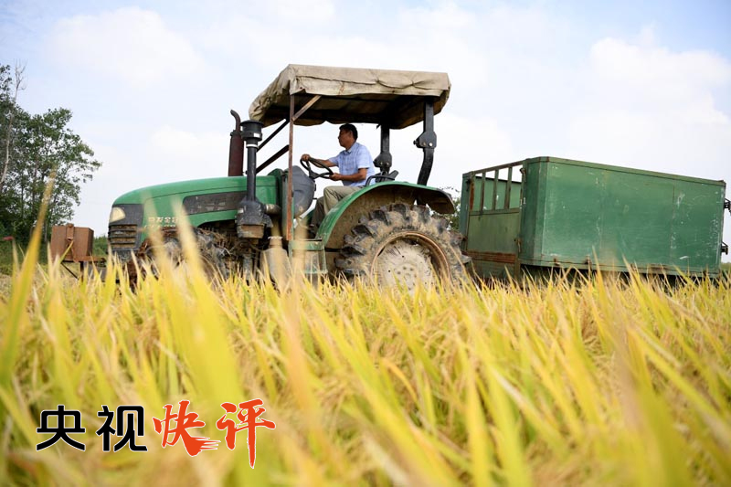 【央视快评】打赢脱贫攻坚战 决胜全面小康