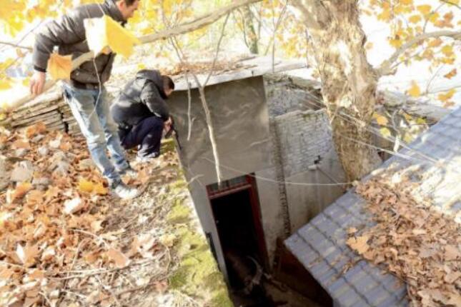 令人揪心！上饶疯公牛伤人不时袭击路人 民警果断击毙疯牛