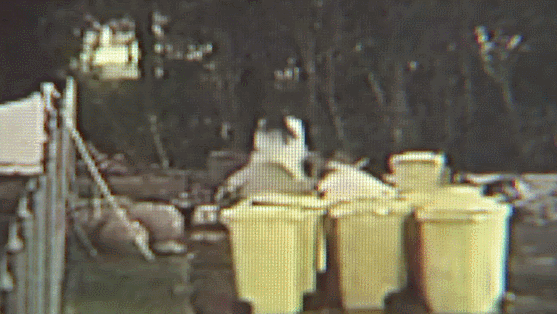 令人气愤!男子当街抱摔女孩叫嚣“你报警好了”!视频曝光详情