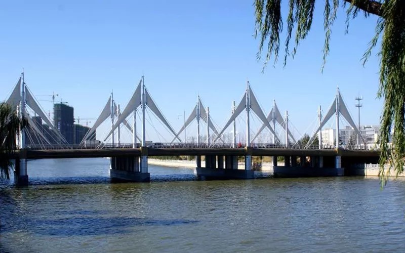 八年之约！济南国际冬泳赛奖牌惊艳亮相，带你看尽济南绝美风景！