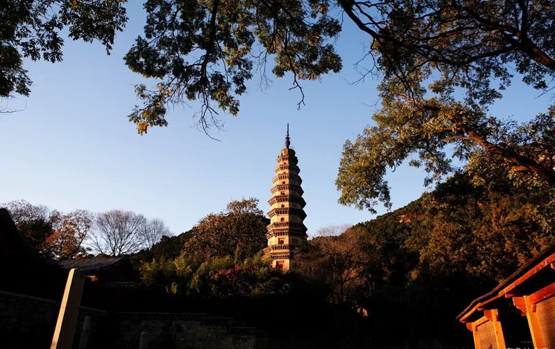 八年之约！济南国际冬泳赛奖牌惊艳亮相，带你看尽济南绝美风景！