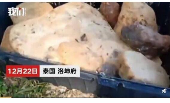相信吗！捡石头价值近百万详情情况 泰国男子河滩上发现奇怪石头价值近百万