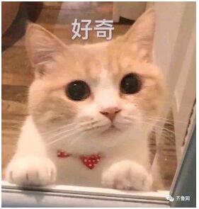 这就是山东丨哪个瞬间让你觉得“山东还不错”？