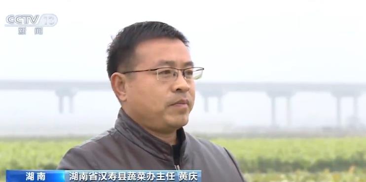 元旦春节农产品市场供应充足 部分农产品价格略有下降