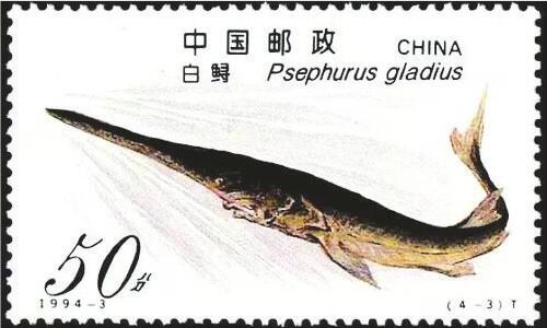 专家称2005年-2010年时长江白鲟已灭绝 长江十年禁渔计划元旦起实施