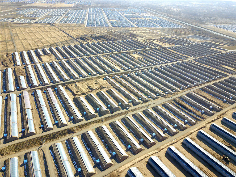 坚决歼灭最后的贫困堡垒——写在决胜脱贫攻坚战开年之际