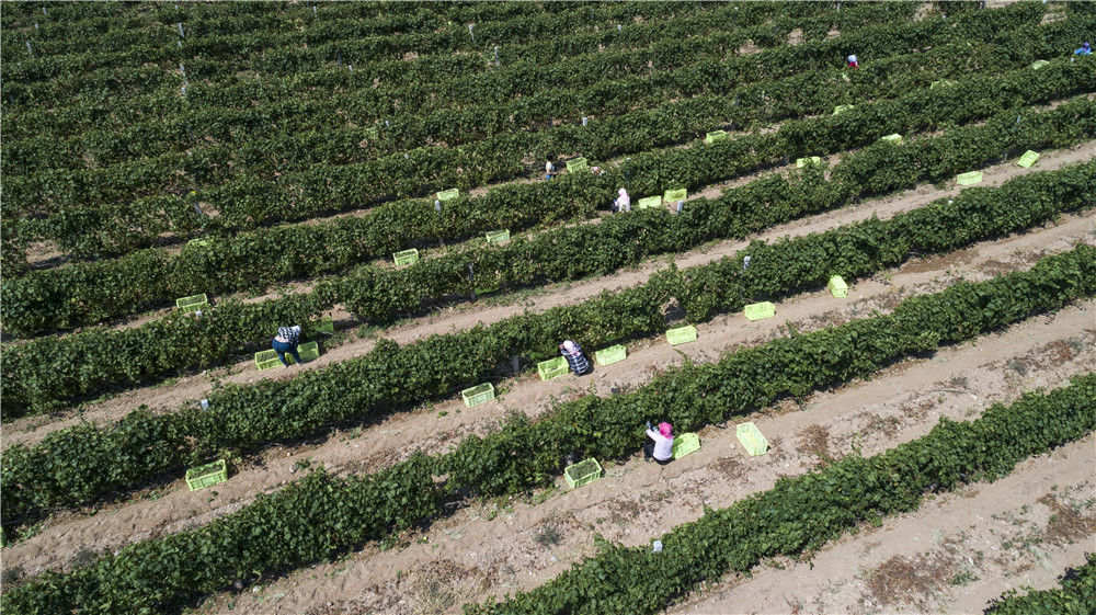 坚决歼灭最后的贫困堡垒——写在决胜脱贫攻坚战开年之际