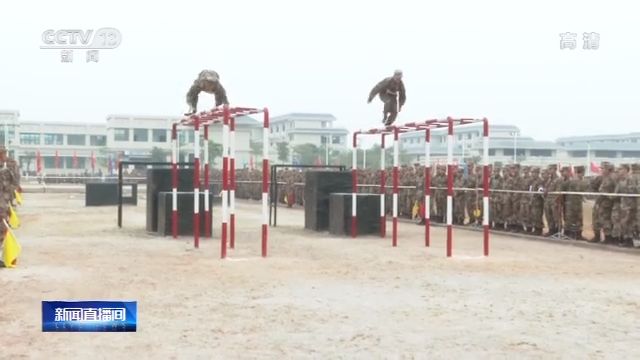 从陆航战机到“深海利剑”！各地新年开训气势如虹