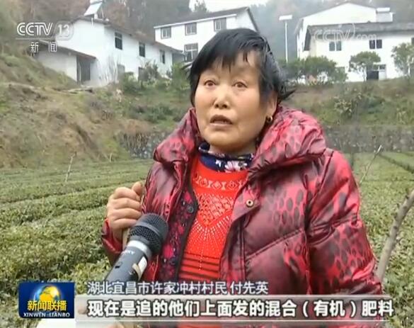 走进长江经济带丨美丽长江我的家