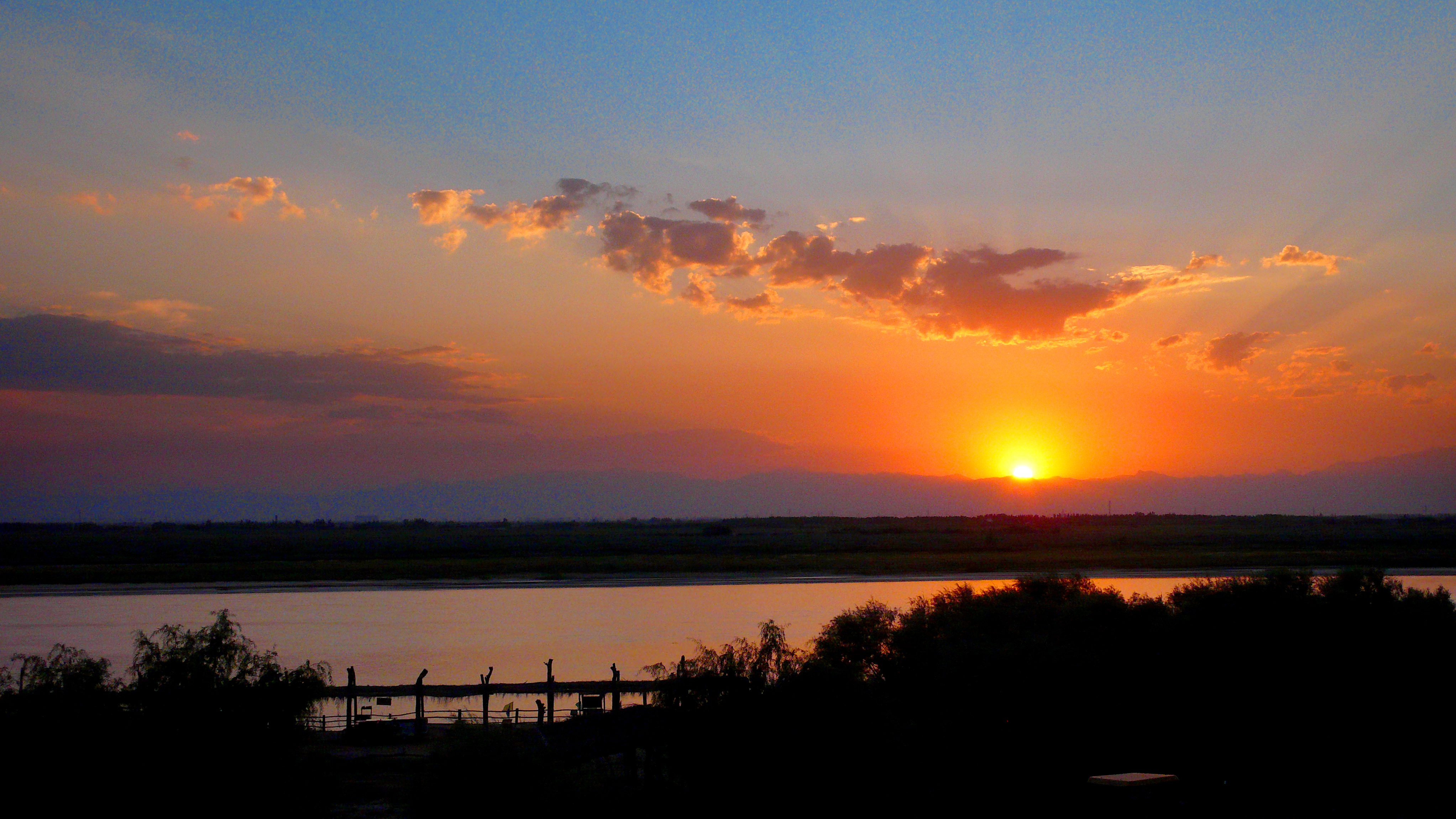 【生态文明@湿地】银川黄河湿地，焕发生机之魅