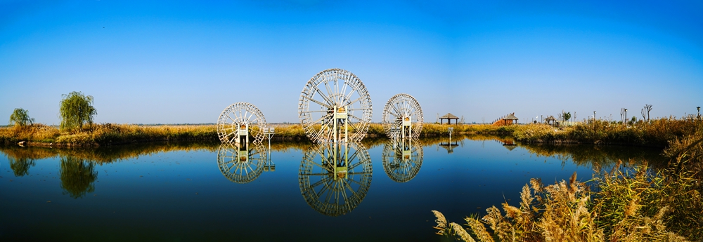 【生态文明@湿地】银川黄河湿地，焕发生机之魅