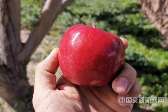 【好生活在路上】扶贫路上幸福同行