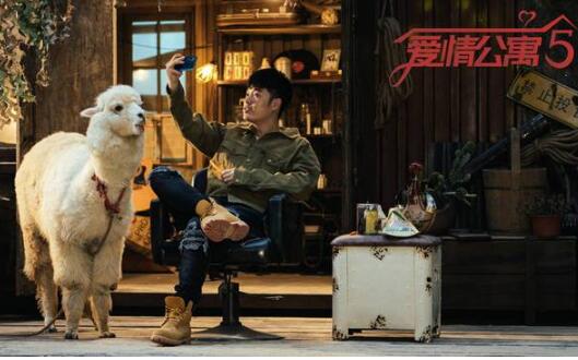 新年大礼!爱情公寓5定档1月12日 故事走向有了些许暗示