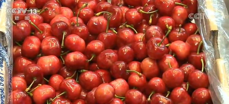 我国外贸多元化发展 国际市场“朋友圈”越来越大