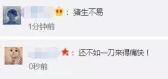 猪生艰难!景区让肥猪从68米高处蹦极!网友炸锅:考虑过它的感受吗?