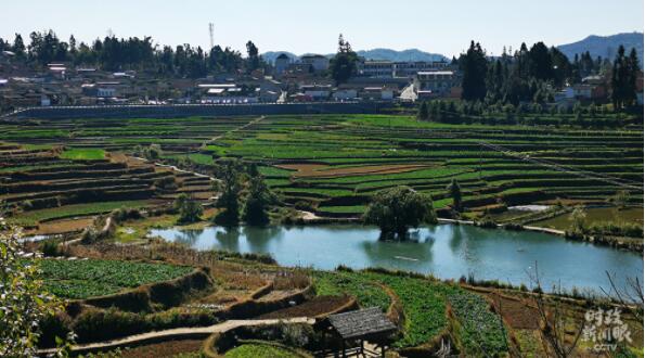 时政新闻眼丨春节前夕考察，习近平首站踏访边城腾冲