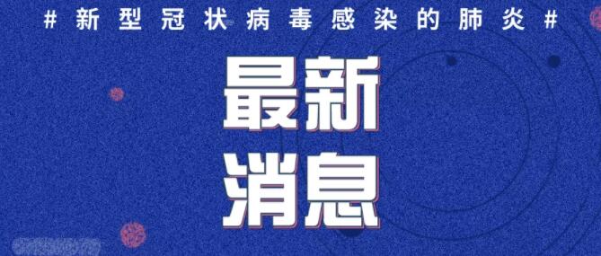 2020年2月4日12时至24时山东省新型冠状病毒感染的肺炎疫情情况