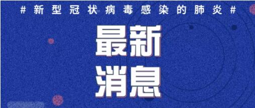 2020年2月6日0时至12时山东省新型冠状病毒感染的肺炎疫情情况