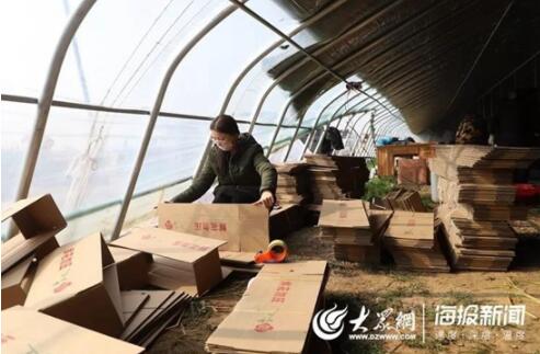 新春走基层：179万阅读量！17万订单！300万枝招贤玫瑰售出！