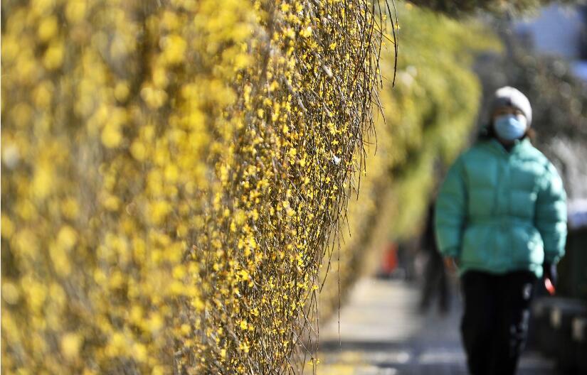 充满希望的春天来了