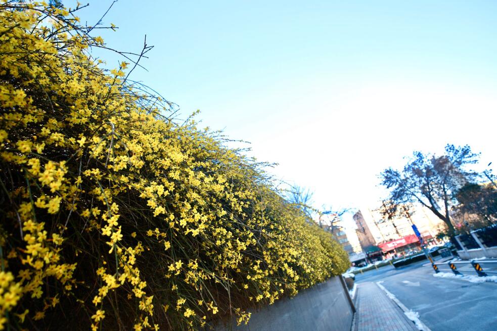 充满希望的春天来了