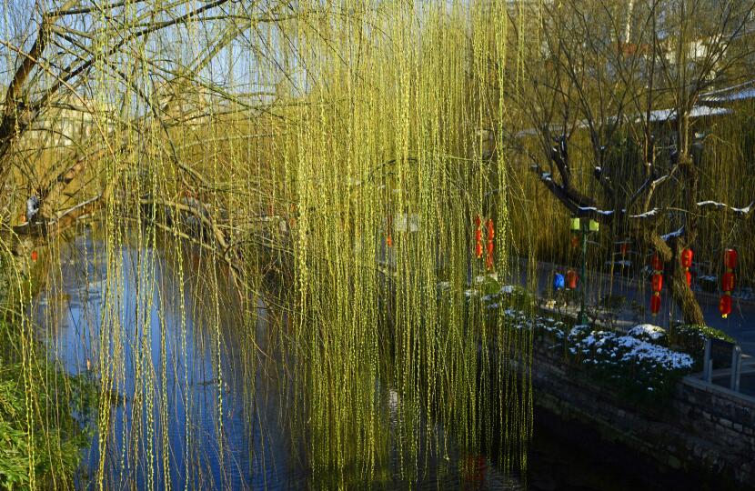 济南：云翔天际间，雪融春又归