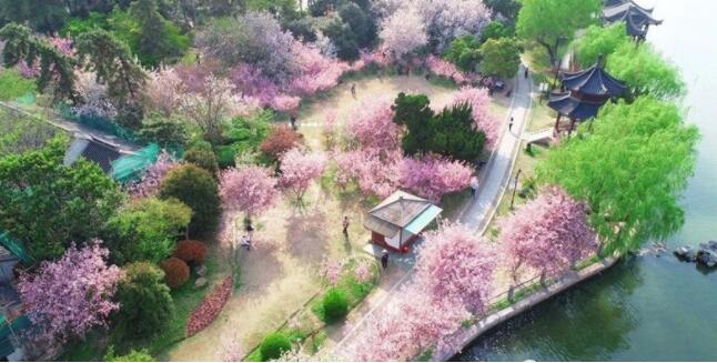 都有谁?玄武湖景区开放 首批知名景区开放时间表发布