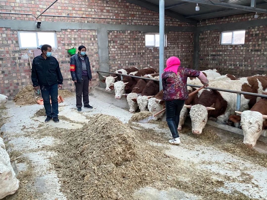 疫情不止，我们不退！ 