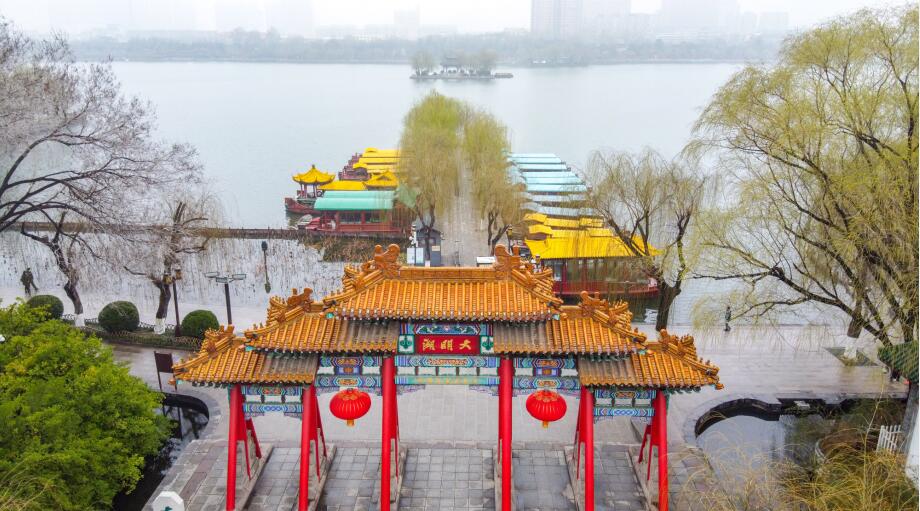 济南：雨后雾气蒙蒙 翠柳尽显春意