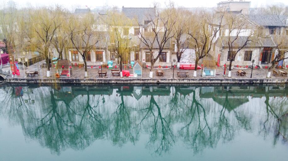 济南：雨后雾气蒙蒙 翠柳尽显春意