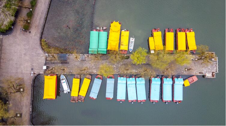 济南：雨后雾气蒙蒙 翠柳尽显春意