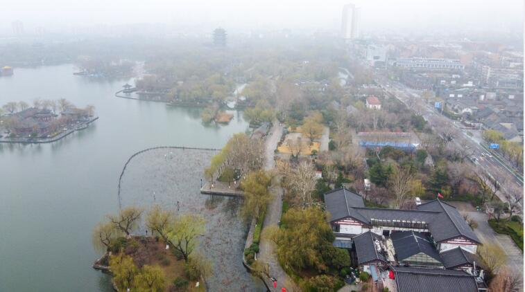 济南：雨后雾气蒙蒙 翠柳尽显春意