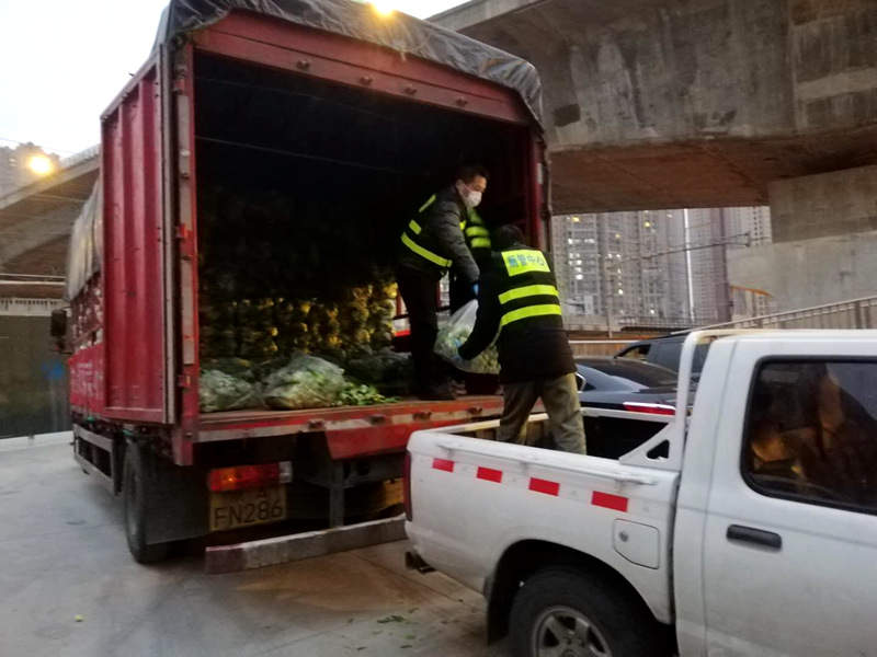 河南沈丘：火神山英雄“同款”蔬菜再送30吨