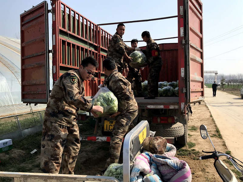 河南沈丘：火神山英雄“同款”蔬菜再送30吨