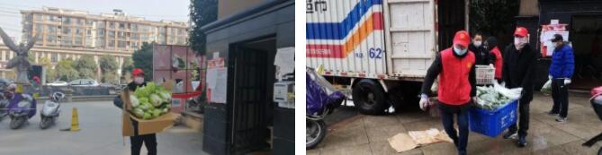 法院“门诊大夫”抗疫记