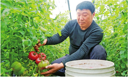 权威发布丨春播面积3000多万亩！山东有序推进春耕春播
