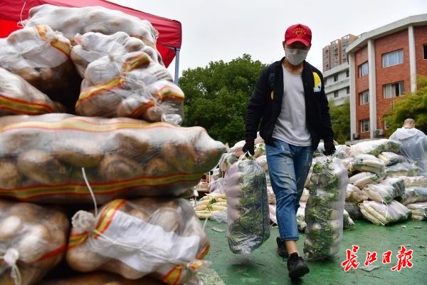 很多个感动我的瞬间，是让我坚持下来的理由——一位武汉志愿者的自述